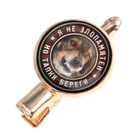 Заколка Я не злопамятен HZF-0363