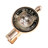 Заколка Что вы себе позволяете? HZF-0368