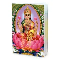 Обложка для паспорта Лашми, ПВХ MOB017