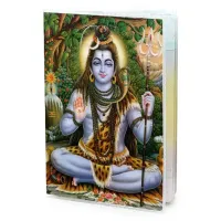 Обложка для паспорта Шива, ПВХ MOB036