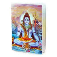 Обложка для паспорта Шива, ПВХ MOB037