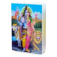 Обложка для паспорта Ардханарешвара, ПВХ MOB043