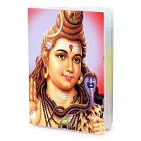 Обложка для паспорта Шива, ПВХ MOB033