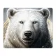 Коврик для мыши 22х18см Белый медведь KMP648