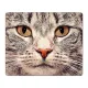 Коврик для мыши 22х18см Кот портрет KMP668