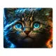 Коврик для мыши 22х18см Котенок KMP696