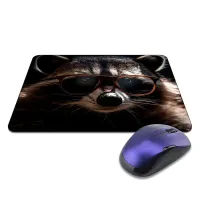 Коврик для мыши 22х18см Енот в очках KMP717