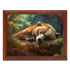 Постер в рамке 22х17см Мишка в лесу POSG-0286