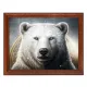 Постер в рамке 22х17см Белый медведь POSG-0288