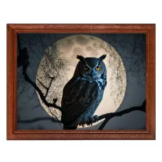 Постер в рамке 22х17см Филин и полнолуние POSG-0290