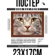 Постер в рамке 22х17см Кот портрет POSG-0308