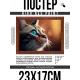 Постер в рамке 22х17см Кошка и бабочка POSG-0309