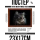 Постер в рамке 22х17см Кот POSG-0319