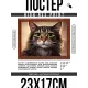 Постер в рамке 22х17см Портрет кошки POSG-0333