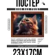 Постер в рамке 22х17см Кот макро POSG-0335