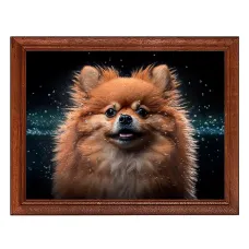 Постер в рамке 22х17см Шпиц POSG-0350