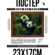 Постер в рамке 22х17см Панды POSG-0355