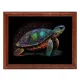 Постер в рамке 22х17см Черепаха POSG-0358