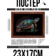 Постер в рамке 22х17см Черепаха POSG-0358