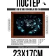 Постер в рамке 22х17см Змея POSG-0360