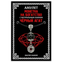 Амулет Монетка на богатство с натуральным камнем черный агат, цвет серебр. MKA025-2