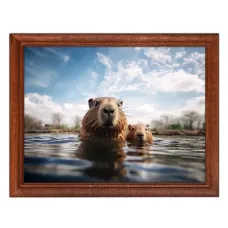 Постер в рамке 22х17см Капибары в воде POSG-0400
