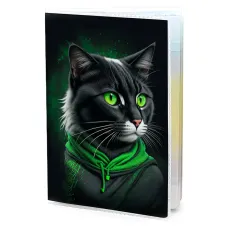 Обложка для паспорта ПВХ Кот в худи MOB603