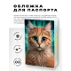 Обложка для паспорта ПВХ Большеглазый кот MOB617