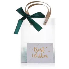 Подарочный пакет Best Wishes, цвет голубой PU001