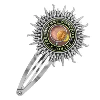 Заколка Увеличение доходов HZG-0076