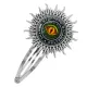Заколка Глаз дракона HZG-0132