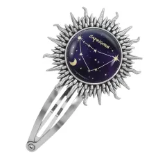 Заколка Знаки Зодиака - Козерог HZG-0314