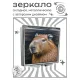 Складное зеркало квадратное Капибара ZER2-1258