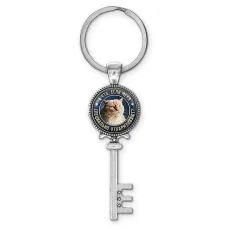 Брелок Ключ А что, если? BK-ALKK-0365