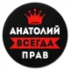 Коврик для мыши именной Анатолий Всегда прав, d.20см KM1246