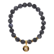 Браслет Знаки Зодиака - Скорпион с нат.камнем Лабрадор 8мм BSZ05-20