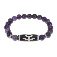 Браслет с бусиной Дзи Аристократ и нат.камнем Аметист BSDS8-06-03