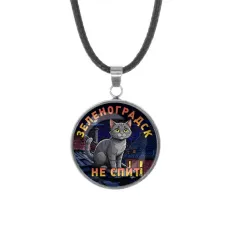 Кулон, нержавеющая сталь, со шнурком, Зеленоградск не спит C0212062