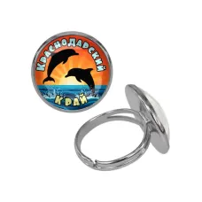 Кольцо металлическое, цвет серебро, Краснодарский край C0509015