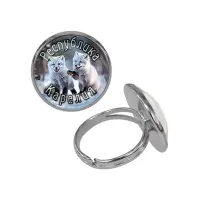 Кольцо металлическое, цвет серебро, Республика Карелия C0608015