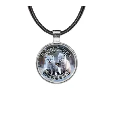 Кулон, цвет серебро, со шнурком, Республика Карелия C0608027