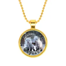 Кулон, цвет золото, с цепочкой, Республика Карелия C0608032