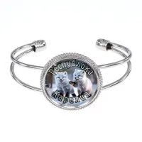 Браслет металлический, цвет серебро, Республика Карелия C0608034