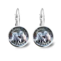 Серьги металлические, Республика Карелия C0608038