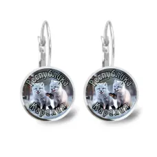 Серьги металлические, Республика Карелия C0608038