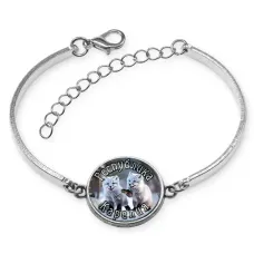 Браслет металлический, цвет серебро, Республика Карелия C0608046