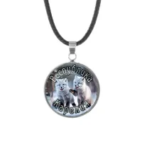 Кулон, нержавеющая сталь, со шнурком, Республика Карелия C0608062