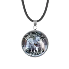 Кулон, нержавеющая сталь, со шнурком, Республика Карелия C0608062