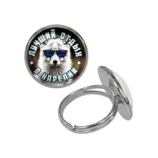 Кольцо металлическое, цвет серебро, Лучший отдых в Карелии C0610015