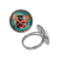 Кольцо металлическое, цвет серебро, Шпиониро Голубиро M0105015